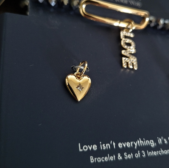 Alex and Ani "Love"❤️ Interchangeable🔄 Charm Stretch Bracelet - NIB - Picture 11 of 16